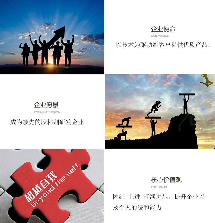 公司简介(图1)